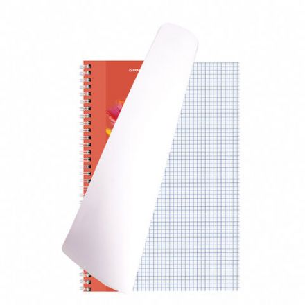 Тетрадь А4, 120 л., BRAUBERG гребень, клетка, обложка картон, "Vision", 404070