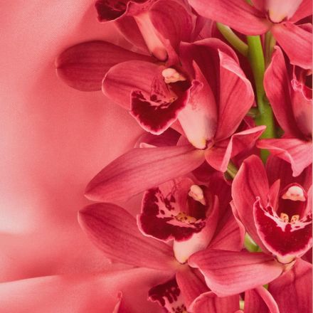 Папка адресная Цветы А4 ламинированный картон розовая