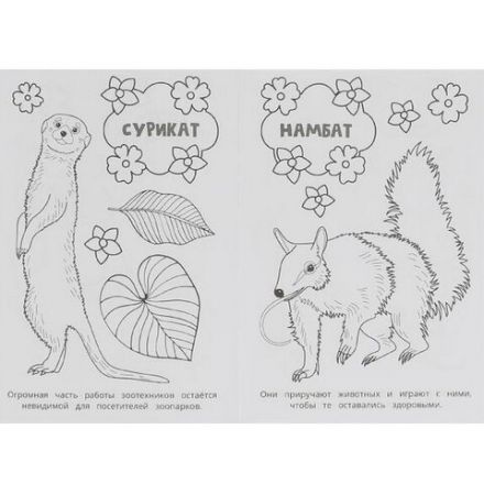 Книжка-раскраска "ПОПУЛЯРНЫЕ СЮЖЕТЫ" АССОРТИ, 145х210 мм, 16 страниц, "УМКА"