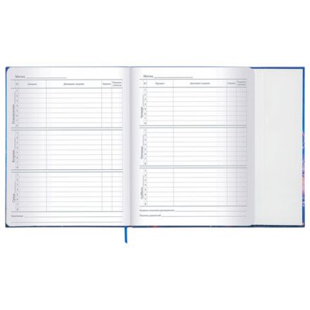 Дневник 1-11 класс 48 л., твердый, BRAUBERG, матовая ламинация, магнитный клапан, закладка-ляссе, с подсказом, "Magic", 107243