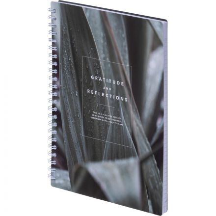 Тетрадь общая, BS, А5, 80л., клетка, спираль. Botanica, агава N4185