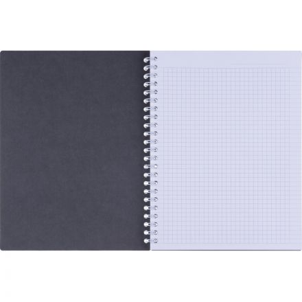 Тетрадь общая, BS, А5, 80л., клетка, спираль. Botanica, агава N4185