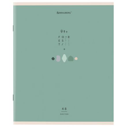 Тетрадь А5 48 л. BRAUBERG скоба, клетка, обложка картон, "Natural" (микс в спайке), 404359