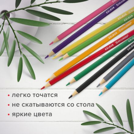Карандаши цветные мягкие BRAUBERG АКАДЕМИЯ, 18 цветов, шестигранные, грифель 3 мм, натуральное дерево, 181865 Карандаши цветные мягкие BRAUBERG АКАДЕМИЯ, 18 цветов, шестигранные, грифель 3 мм, натуральное дерево, 181865