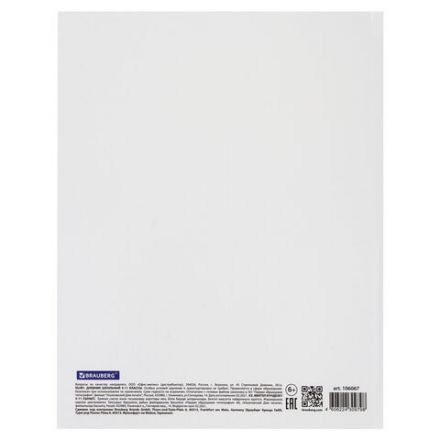 Дневник 5-11 класс 48 л., твердый, BRAUBERG, глянцевая ламинация, с подсказом, "Символика 2", 106067