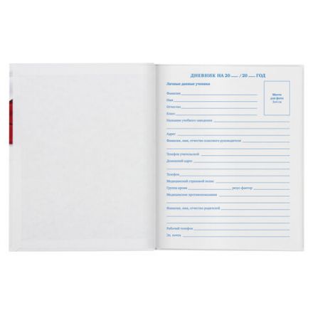 Дневник 5-11 класс 48 л., твердый, BRAUBERG, глянцевая ламинация, с подсказом, "Символика 2", 106067