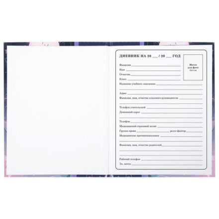 Дневник 1-4 класс 48 л., твердый, ЮНЛАНДИЯ, глянцевая ламинация, с подсказом, "Сказочный сон", 106828