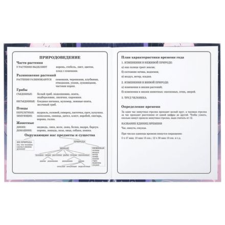 Дневник 1-4 класс 48 л., твердый, ЮНЛАНДИЯ, глянцевая ламинация, с подсказом, "Сказочный сон", 106828