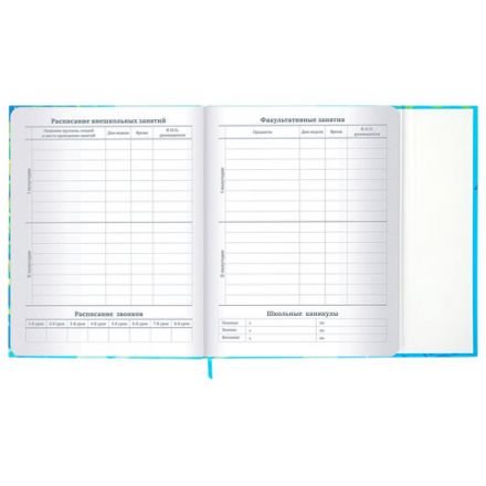 Дневник 1-11 класс 48 л., твердый, BRAUBERG, матовая ламинация, магнитный клапан, закладка-ляссе, с подсказом, "Котик", 107244