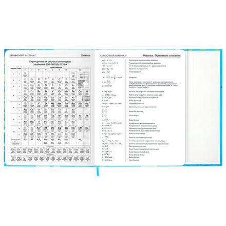 Дневник 1-11 класс 48 л., твердый, BRAUBERG, матовая ламинация, магнитный клапан, закладка-ляссе, с подсказом, "Котик", 107244