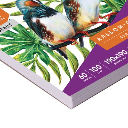 Скетчбук, белая бумага 100 г/м2, 190х190 мм, 60 л., гребень, жёсткая подложка, BRAUBERG ART DEBUT, 110998