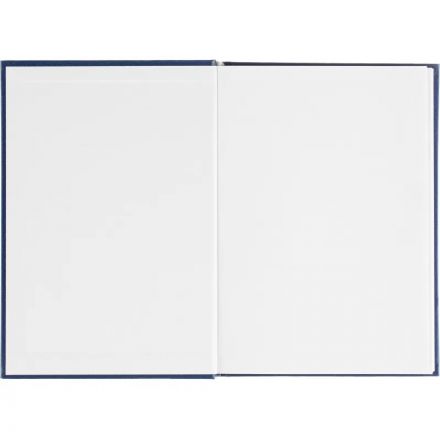 Ежедневник датированный 2026 Выбор есть, А5, 160л, бумвинил, синий