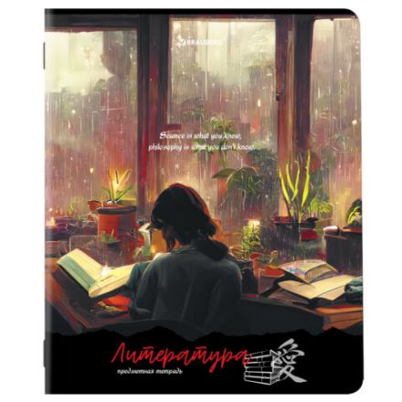 Тетради предметные, КОМПЛЕКТ 12 ПРЕДМЕТОВ, 48 л., матовая ламинация, BRAUBERG, "ANIME GIRLS", 404832