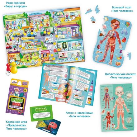 Игра Как устроен человек? 5 в 1, подарок