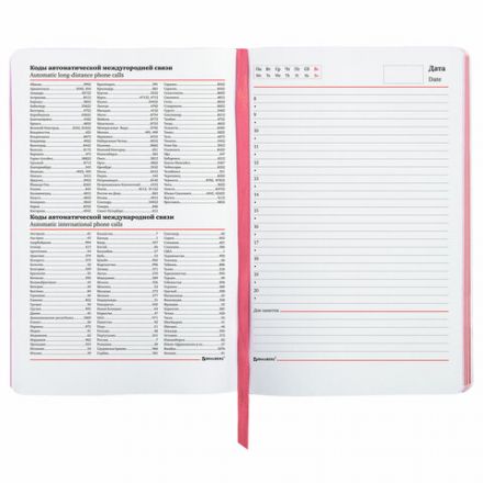 Ежедневник недатированный А5 (138х213 мм), BRAUBERG VISTA, под кожу, гибкий, 136 л., "Eye", 112004