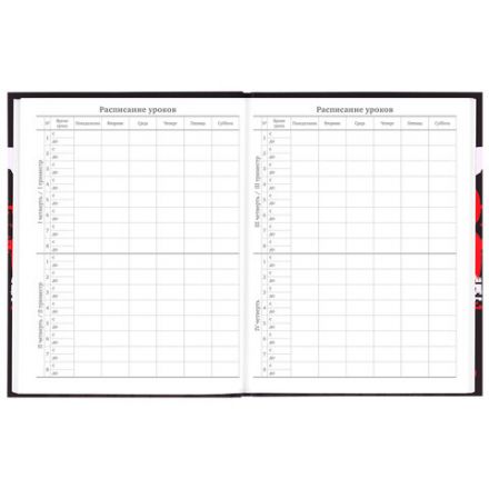 Дневник 5-11 класс 48 л., твердый, BRAUBERG, выборочный лак, с подсказом, "Кеды", 106889