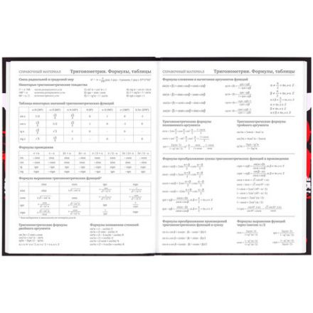 Дневник 5-11 класс 48 л., твердый, BRAUBERG, выборочный лак, с подсказом, "Кеды", 106889