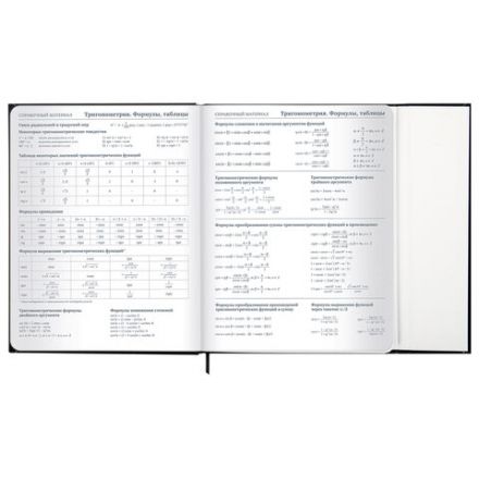 Дневник 1-11 класс 48 л., твердый, BRAUBERG, матовая ламинация, магнитный клапан, закладка-ляссе, с подсказом, "Дракон", 107245