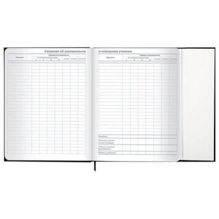 Дневник 1-11 класс 48 л., твердый, BRAUBERG, матовая ламинация, магнитный клапан, закладка-ляссе, с подсказом, "Дракон", 107245