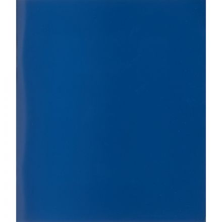 Тетрадь общая А5 96 листов в клетку на скрепке (обложка синяя)