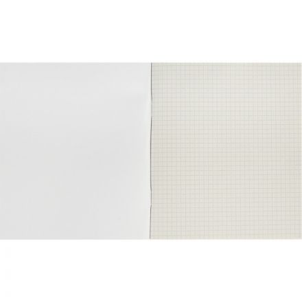 Тетрадь общая А5 96 листов в клетку на скрепке (обложка синяя)