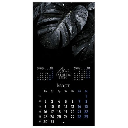 Календарь настенный перекидной 2026 г., BRAUBERG, 12 листов, 28,5х28,5 см, "Black esthetic", 116927
