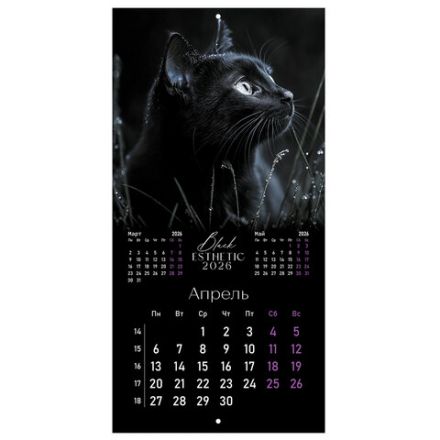 Календарь настенный перекидной 2026 г., BRAUBERG, 12 листов, 28,5х28,5 см, "Black esthetic", 116927