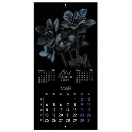 Календарь настенный перекидной 2026 г., BRAUBERG, 12 листов, 28,5х28,5 см, "Black esthetic", 116927