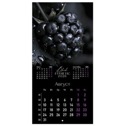 Календарь настенный перекидной 2026 г., BRAUBERG, 12 листов, 28,5х28,5 см, "Black esthetic", 116927