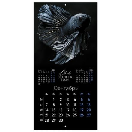 Календарь настенный перекидной 2026 г., BRAUBERG, 12 листов, 28,5х28,5 см, "Black esthetic", 116927