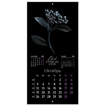 Календарь настенный перекидной 2026 г., BRAUBERG, 12 листов, 28,5х28,5 см, "Black esthetic", 116927