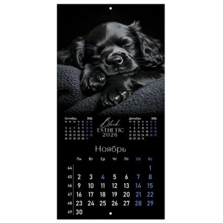 Календарь настенный перекидной 2026 г., BRAUBERG, 12 листов, 28,5х28,5 см, "Black esthetic", 116927