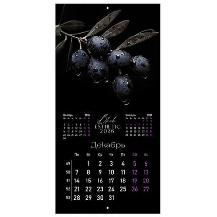 Календарь настенный перекидной 2026 г., BRAUBERG, 12 листов, 28,5х28,5 см, "Black esthetic", 116927