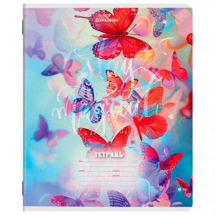 Тетрадь 12 л. BRAUBERG клетка, обложка картон, МИКС-2, 107269