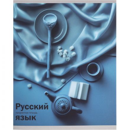 Тетрадь предметная 48л. НА УРОКЕ, набор 12 шт., 48-2380