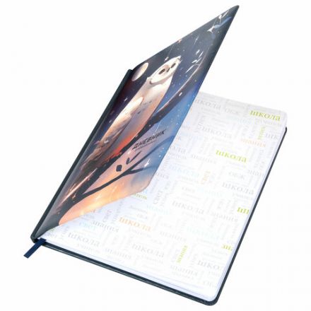 Дневник 1-11 класс 48 л., кожзам (твердая с поролоном), печать, наклейки, BRAUBERG, "Сова", 106947