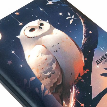 Дневник 1-11 класс 48 л., кожзам (твердая с поролоном), печать, наклейки, BRAUBERG, "Сова", 106947