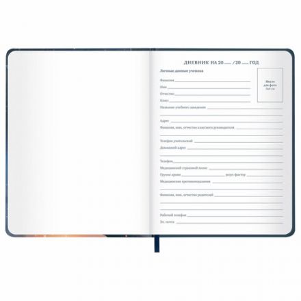 Дневник 1-11 класс 48 л., кожзам (твердая с поролоном), печать, наклейки, BRAUBERG, "Сова", 106947