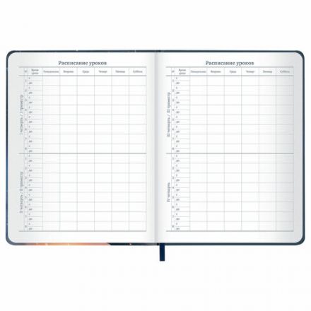 Дневник 1-11 класс 48 л., кожзам (твердая с поролоном), печать, наклейки, BRAUBERG, "Сова", 106947