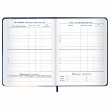 Дневник 1-11 класс 48 л., кожзам (твердая с поролоном), печать, наклейки, BRAUBERG, "Сова", 106947