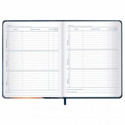 Дневник 1-11 класс 48 л., кожзам (твердая с поролоном), печать, наклейки, BRAUBERG, "Сова", 106947