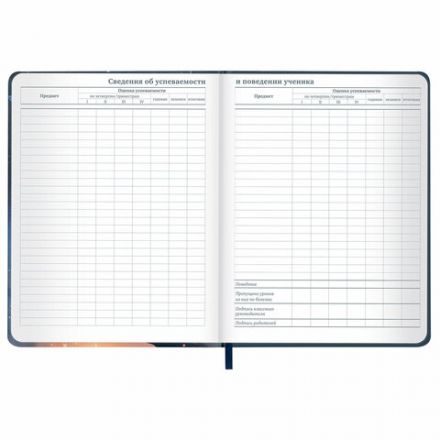 Дневник 1-11 класс 48 л., кожзам (твердая с поролоном), печать, наклейки, BRAUBERG, "Сова", 106947