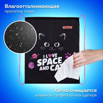 Мешок для обуви ПИФАГОР, 1 отделение, 42х34 см, "Dark kitten", 273419