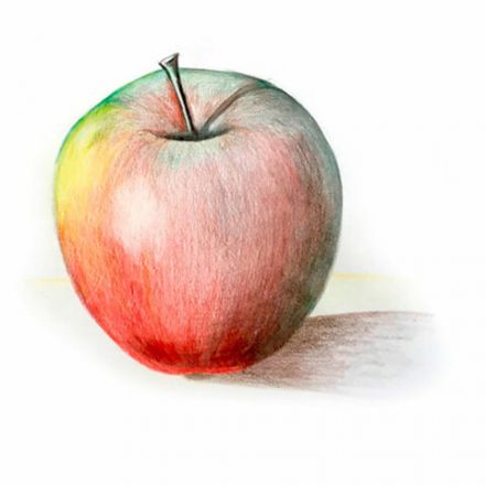 Карандаши цветные BIC "Kids ECOlutions Evolution", 18 цветов, пластиковые, заточенные, европодвес, 937513 Карандаши цветные BIC "Kids ECOlutions Evolution", 18 цветов, пластиковые, заточенные, европодвес, 937513