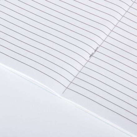 Дневник читательский А5, 40 л., скоба, обложка картон, ПИФАГОР, "Кот учёный", 113447