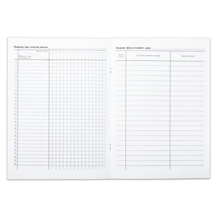 Книга "Журнал факультативных занятий", 24 листа, А4, 205х282 мм, обложка мелованный картон, блок офсет, 15855