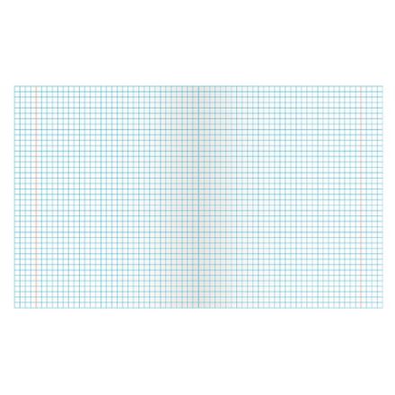 Тетрадь ЗЕЛЁНАЯ обложка 12 л., клетка с полями, офсет, "ПЗБМ", 19995