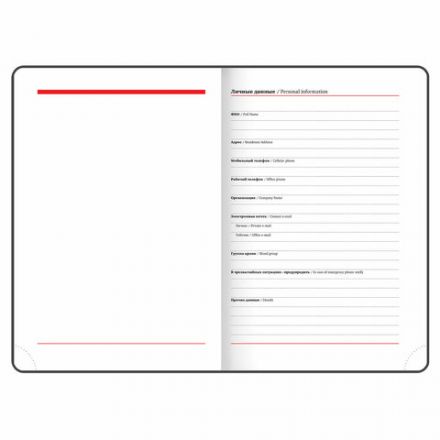 Ежедневник с магнитным клапаном недатированный, под кожу, А5, черный, BRAUBERG "Magnetic X", 113278