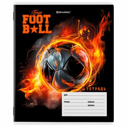 Тетрадь 12 л. BRAUBERG клетка, обложка картон, МИКС-3, 107270