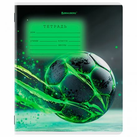 Тетрадь 12 л. BRAUBERG клетка, обложка картон, МИКС-3, 107270